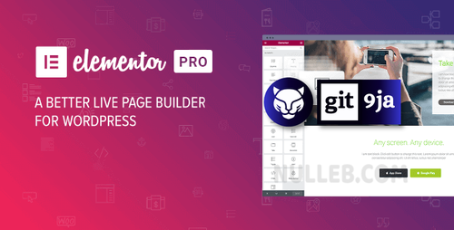 More information about "Elementor PRO  (Nulled)"